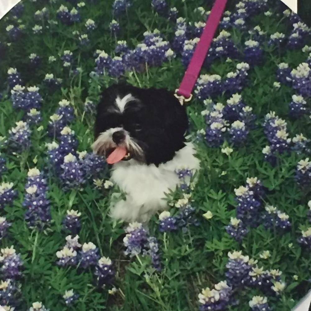 Meet your Posher, Lori